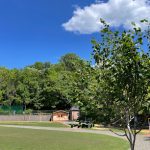 やまと第一保育園 – 八王子市