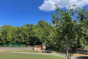 やまと第一保育園 - 八王子市 5 やまと第一保育園 – 八王子市