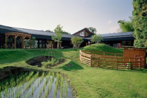 万博公園どろんこ保育園 - つくば市 8 万博公園どろんこ保育園 – つくば市