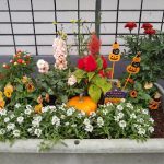 けんせい保育園 – 相模原市