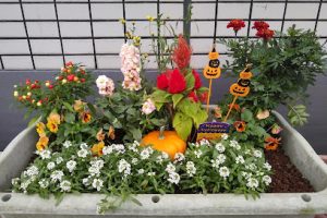 けんせい保育園 - 相模原市 9 けんせい保育園 – 相模原市