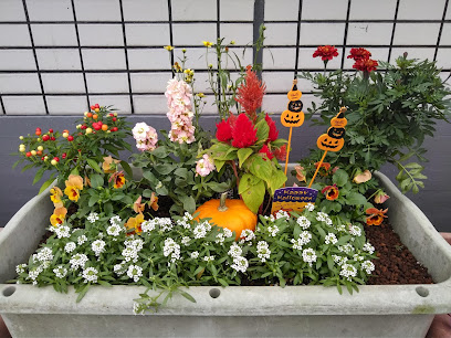 けんせい保育園 - 相模原市 1 AF1QipMIgG4cqy rqVElhnwkMiZ7y2AOkPqX0L2InB7qw408 h306 k no