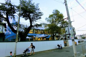 和光保育園 – 国立市