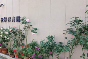 松翠保育園 - 福岡市 7 松翠保育園 – 福岡市